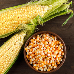 Corn